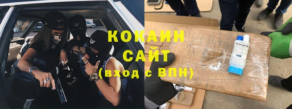 индика Лабытнанги