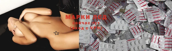 амф Кукмор