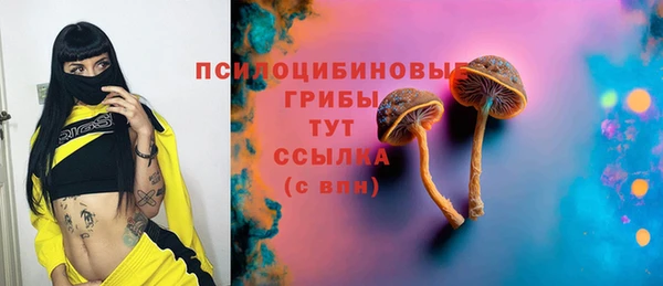 ГАЛЛЮЦИНОГЕННЫЕ ГРИБЫ Куйбышев