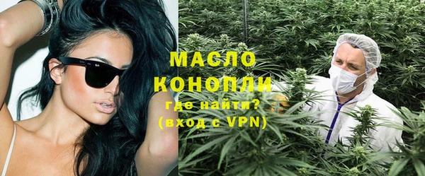 индика Лабытнанги