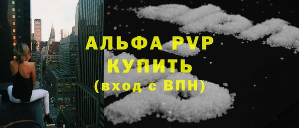 индика Лабытнанги