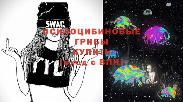 индика Лабытнанги