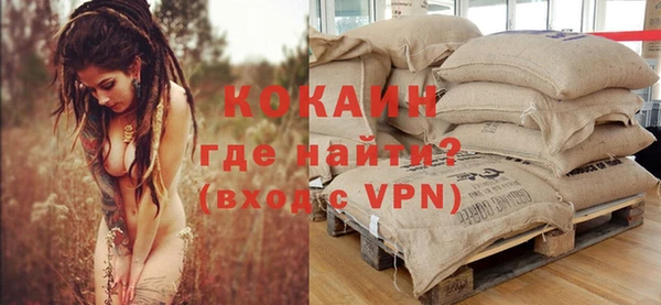 индика Лабытнанги