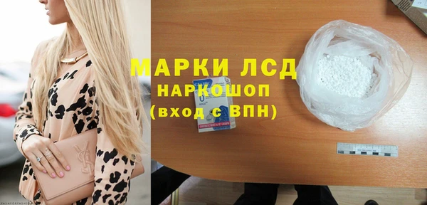 индика Лабытнанги
