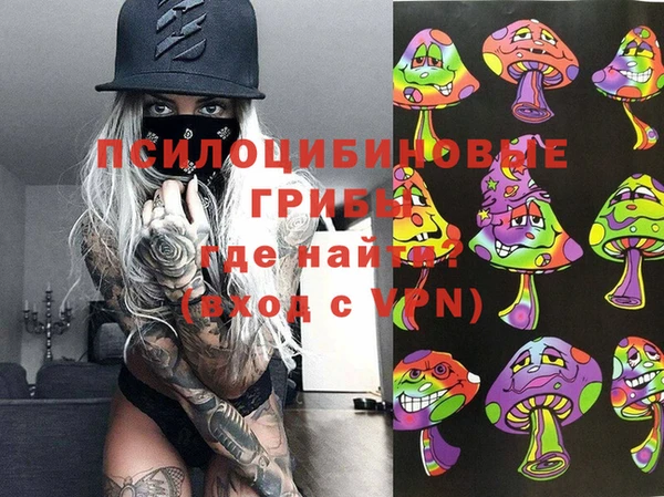 амф Кукмор